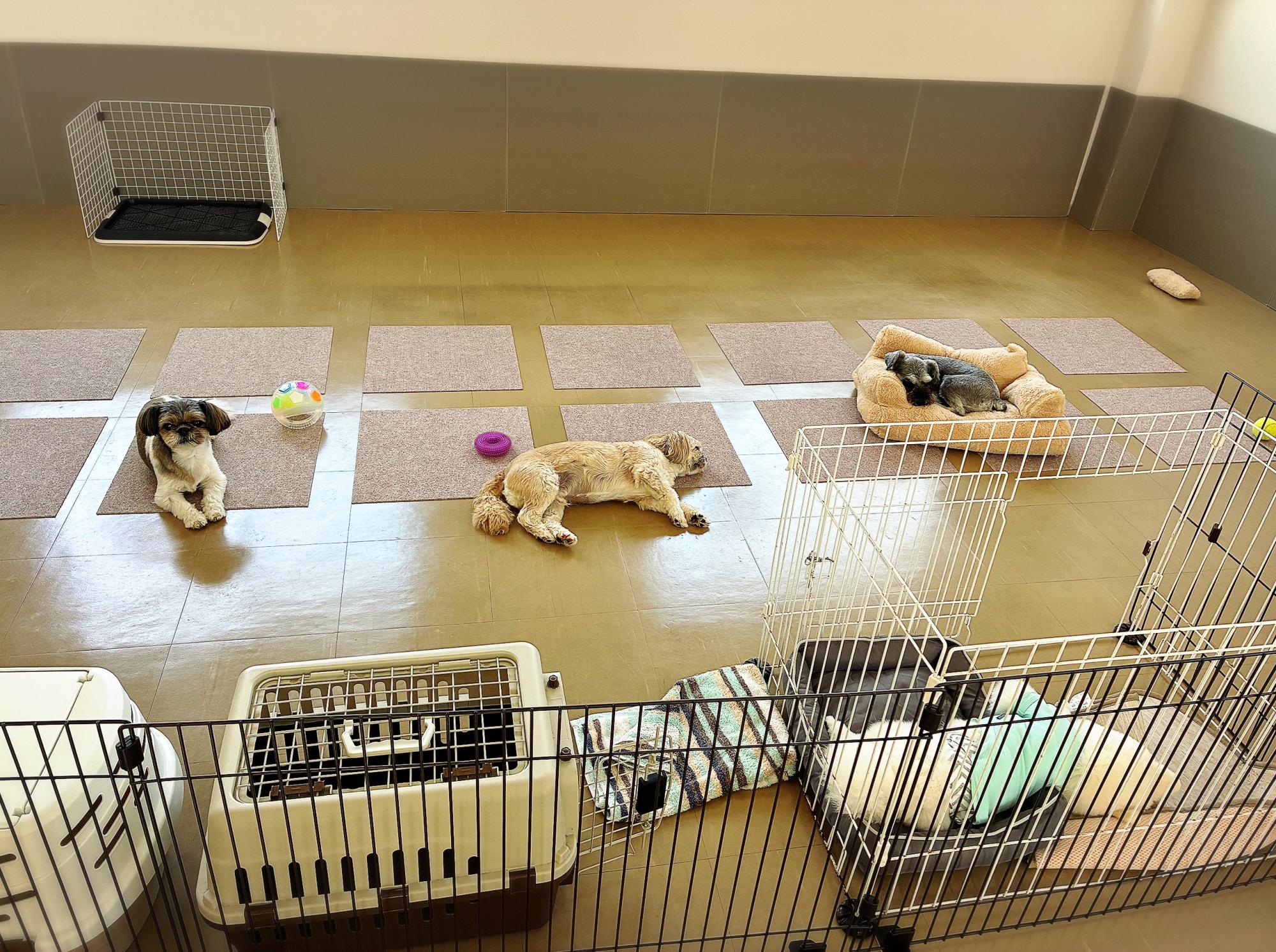 お預かりについて